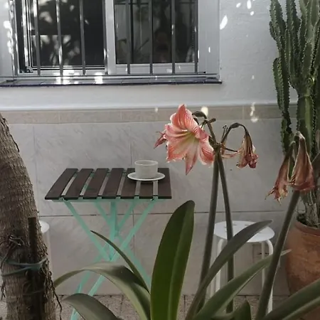 בית נופש Casa Playita De Luz *